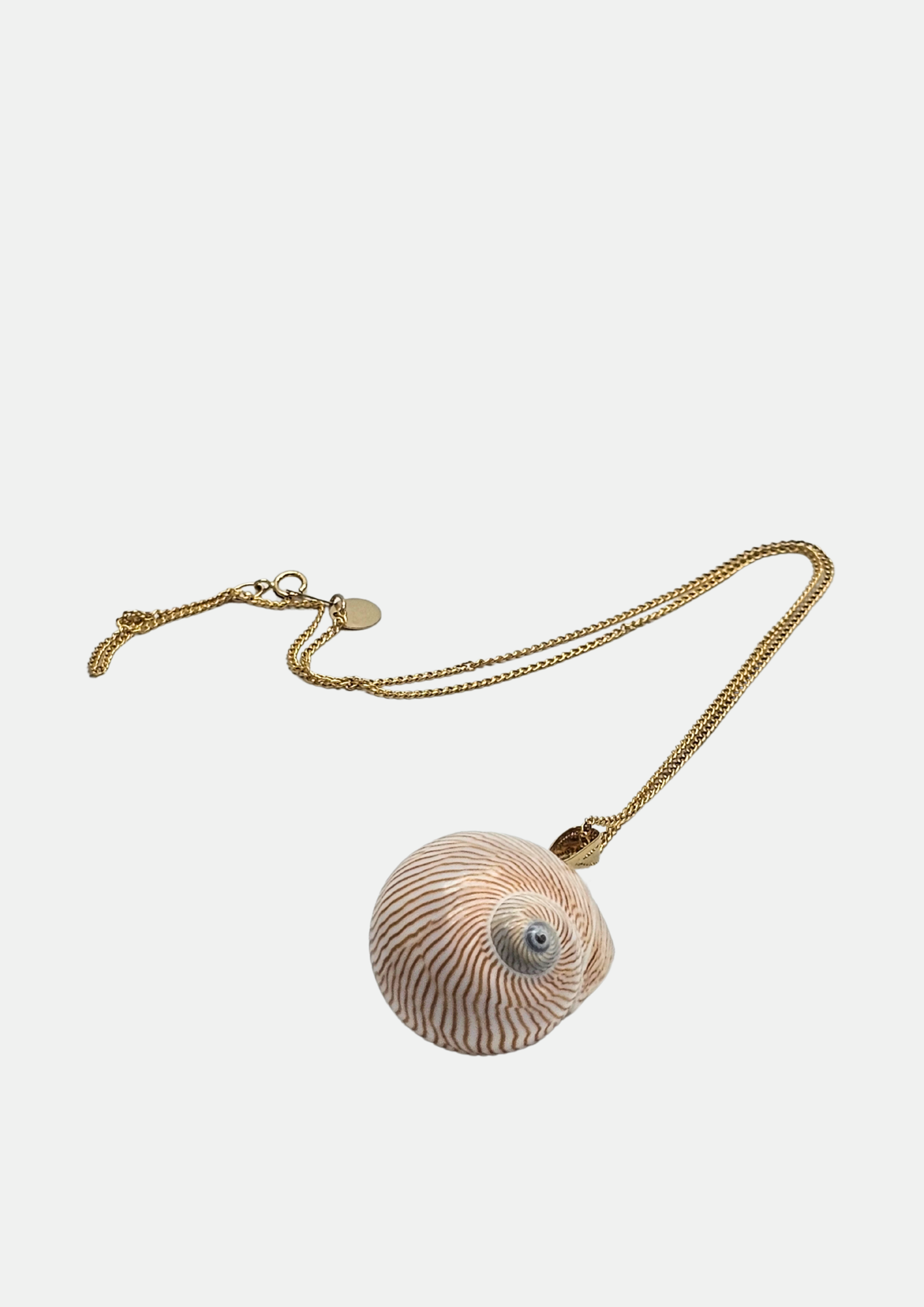 Collier coquillage Line